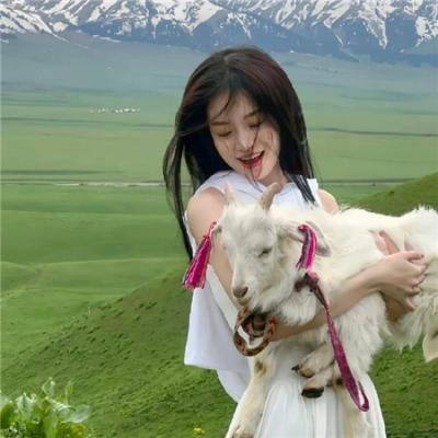 施耐德对决巴克斯